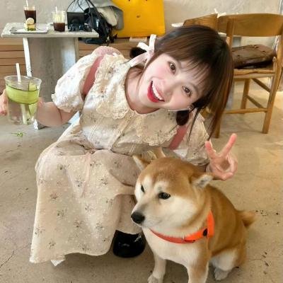 英灵们的加油歌